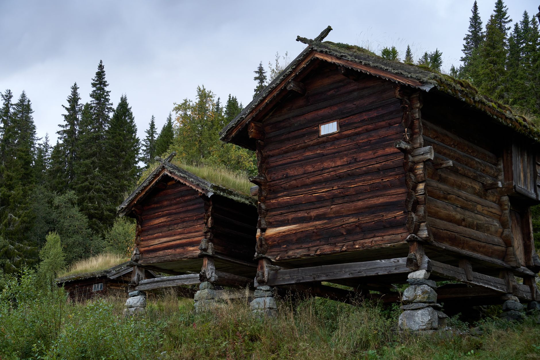 Historiska timmerhus på Skansen Stockholm